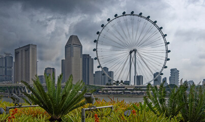 Singapore Flyer- it reaches the height of a 55-storey building, having a total height of 165 m