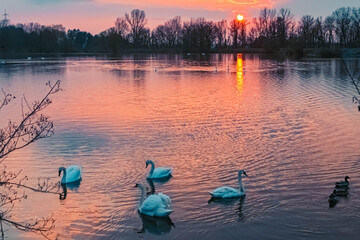 Beautiful sunset with reflections near Plattling, Isar, Bavaria, Germany