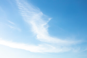 Ephemeral feather light whispy air cirrus ice clouds forming a bird wing shape contrasted against a vibrant deep soft blue sky. Weather conditions and scientific meteorology graphic backdrop.