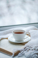 Warm knitted scarf, a cup of hot tea and a book