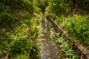 Forest creek waterway with stone wall green nature background