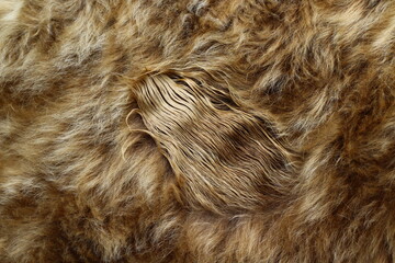 close up of cow fur