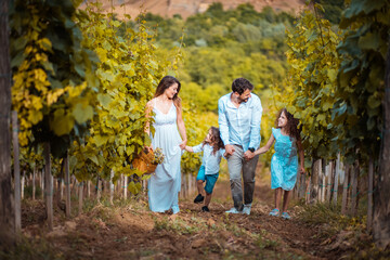 Fototapeta premium Family walking trough vineyard.