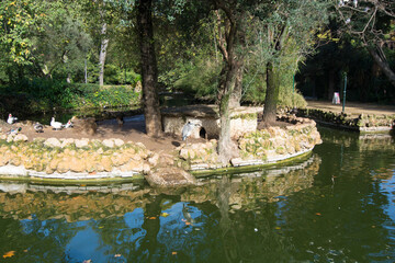 Fototapeta na wymiar giardini palazzo realedi Siviglia