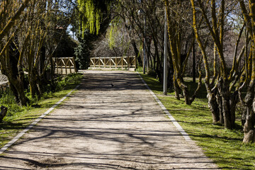Parque en primavera