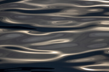 Sunset light reflecting in water