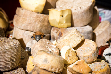Fototapeta na wymiar Many types of cheese on wooden desk