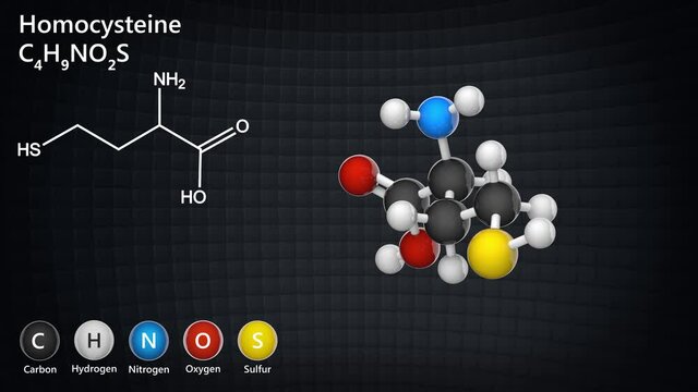 Chemical structure of homocysteine (Hcy) amino acid. Formula: C4H9NO2S. 3D render. Seamless loop. Chemical structure model: Ball and Stick.