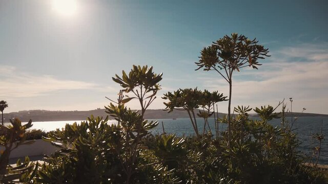 Coast of Bugibba, Malta with sun coming through the plants. Sunny summer day. High quality 4k footage