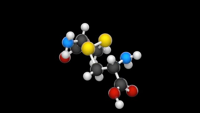 Chemical structural formula and model of cystine. Non-standard amino acid. Formula C6H12N2O4S2. 3D render. Seamless loop. Chemical structure model: Ball and Stick. RGB + Alpha (Transparent) channel
