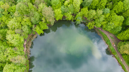 Aerial view of wild forest lake