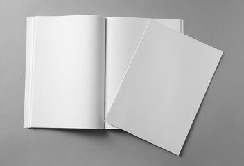 Paper sheet and open blank brochure on light grey background, flat lay