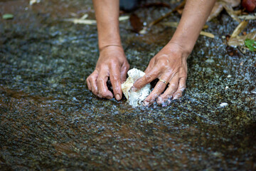 Wild mushrooms are being washed in natural streams. Forest seekers for food ingredients and send them for sale, living a life-saving self