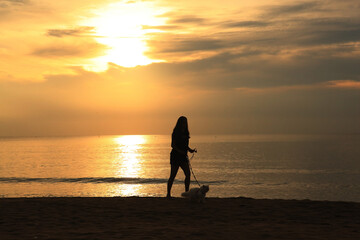 woman with cat on beach , Young asian woman with her cat at sunset , silhouette at sunset