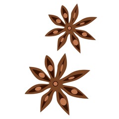 Star anise, Bodyan plant, Pimpinella anisum, Aromatic seasoning for different dishes and drinks, Seasoning for mulled wine, Vector Graphics.