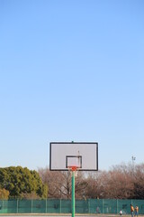 Basketball court
