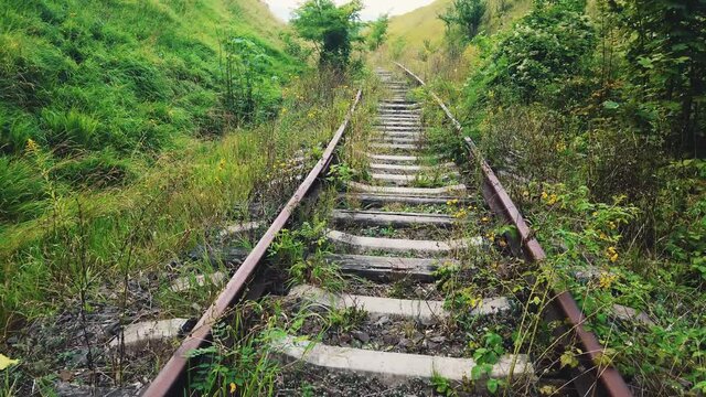 Walking on old overgrown empty railway. Summer landscape and vintage train track in green forest