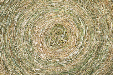 Texture of hay bale, closeup natural background