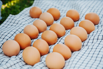 brown eggs on a checkered tablecloth pattern