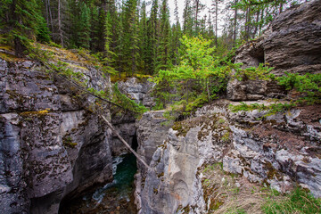 The Rocky Mountains. Maligne Canyon