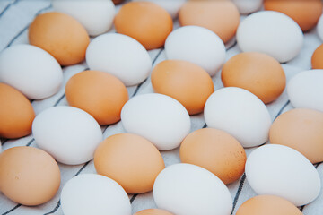 eggs white and brown in staggered pattern