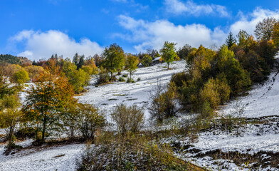 Rural Autumn Landscape