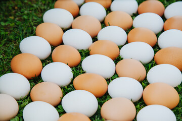 eggs white and brown in staggered pattern