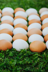 eggs white and brown in staggered pattern