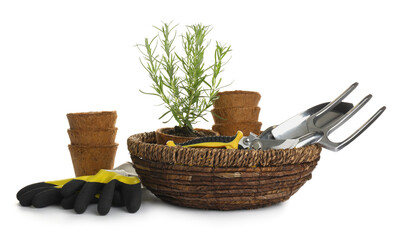 Different modern gardening tools on white background