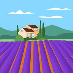 Lavender fields in Provence summer. France rural landscape vector.