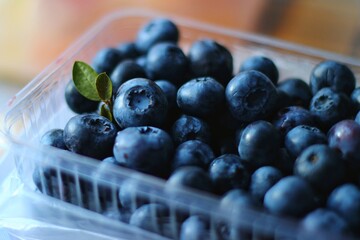 blueberries in a bowl