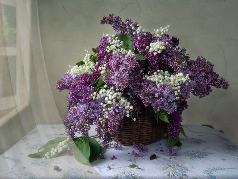 Still life with basket of lilac and lilyes of the valley