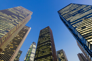 Fototapeta na wymiar Tokyo skyscrapers in Shinjuku downtown and business district. Tokyo, Japan.
