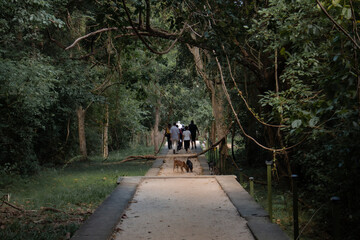Ancient Forest Monastery in Sri Lanka.

Arankelle.  
