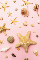 Collection of various seashells on a pink background, top view