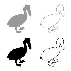Pelican bird Seabird Waterbird silhouette grey black color vector illustration solid outline style image