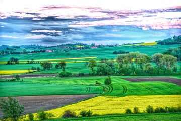 landscape with field and blue sky