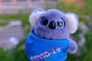 blue toy with a Covid -19 mask