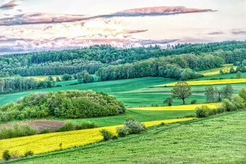 Obraz premium landscape with trees