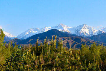 view of the snow-capped mountains landscape with blue sky