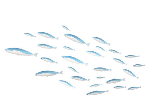 975 件の最適な 小魚の群れ 画像 ストック写真 ベクター Adobe Stock 975 件の最適な 小魚の群れ 画像 ストック写真 ベクター Adobe Stock