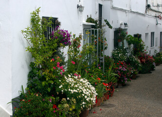 Street with flowers