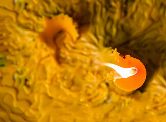 Flame of the yellow candle from the top. Wax melts from burning large candles.