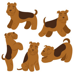 Obraz premium Set of cute terriers isolated on white background. Vector graphics.