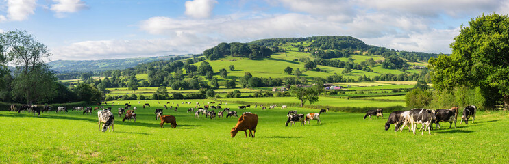 Fototapeta na wymiar Panoramic view of the Wye Valley in the Derbyshire Peak District