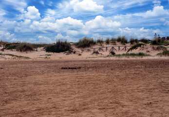 Meadows near the coast