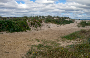 Meadows near the coast