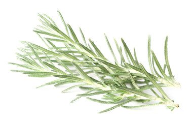 Fototapeta premium fresh curry plant isolated on white background