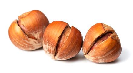 whole hazelnuts isolated on white background