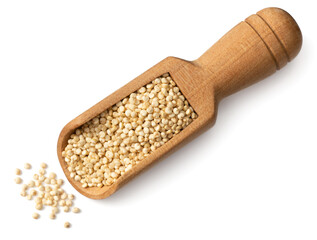 raw white quinoa in the wooden scoop, isolated on white background, top view